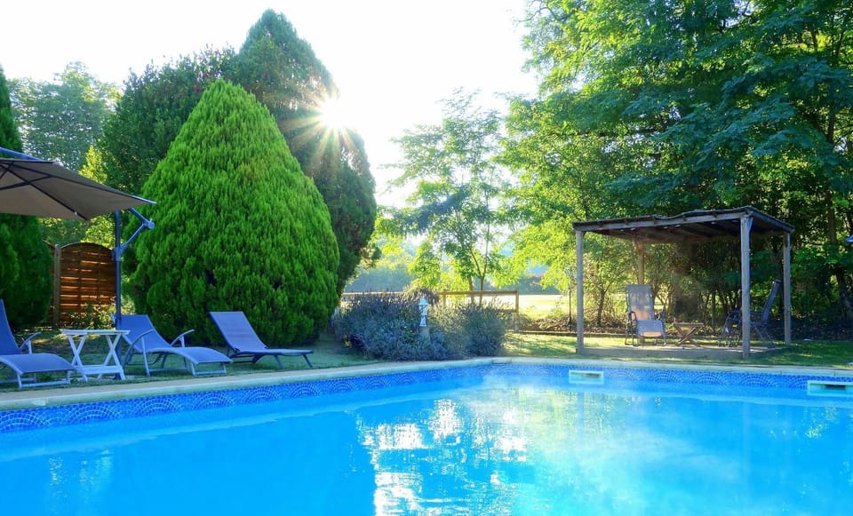 Garden, Garden view, Swimming pool, Swimming pool