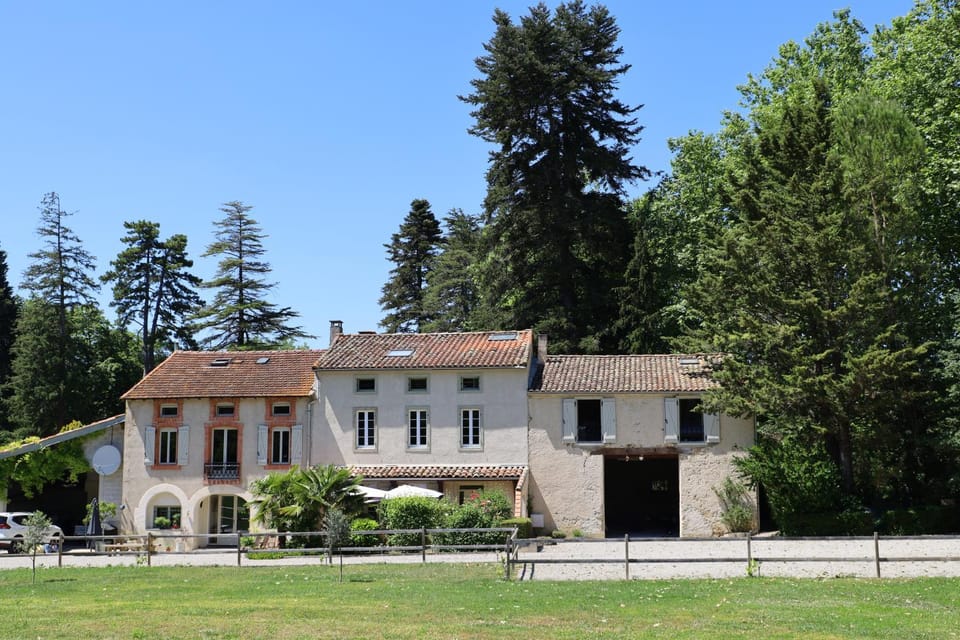 Property building, Natural landscape, Garden