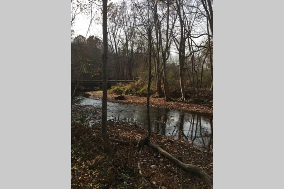 Serenity Views Comfort - Close to City & Parkway! House in Buncombe County