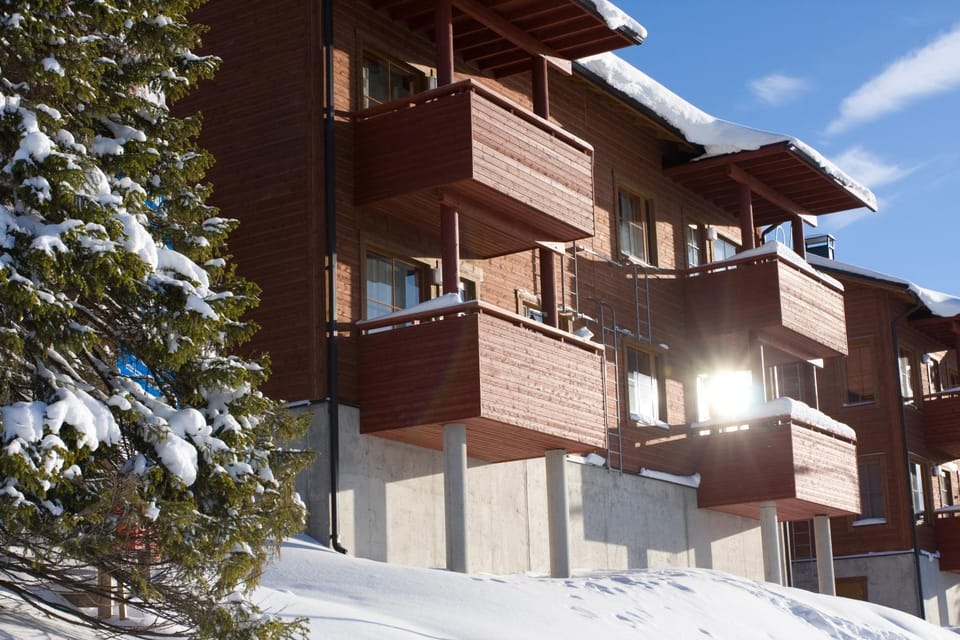 Property building, Winter