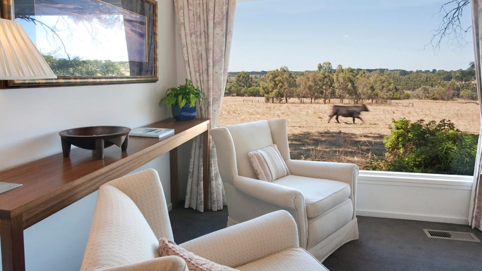 Living room, Seating area, Garden view