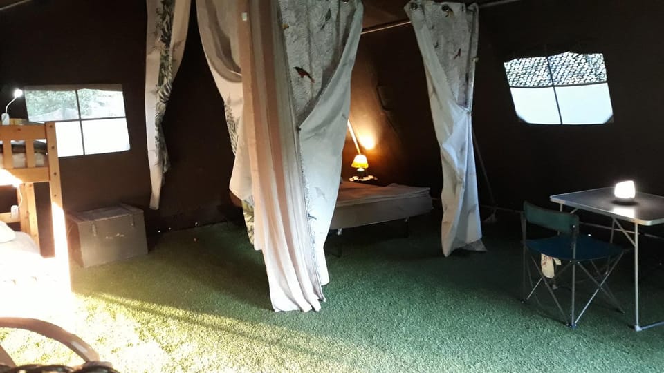 Bed, Photo of the whole room, Bedroom, bunk bed