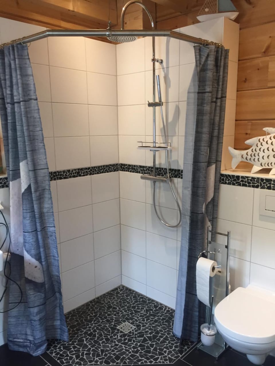 Shower, Toilet