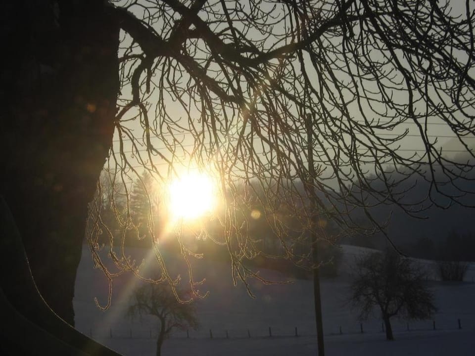 Natural landscape, Winter, Sunrise