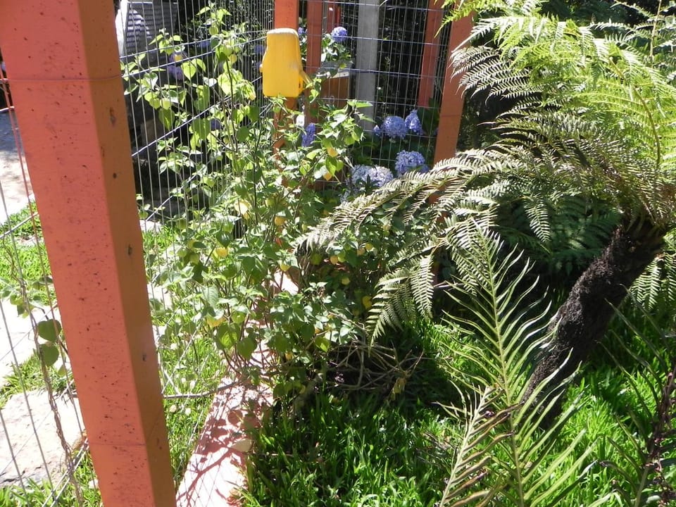 V do Lago Negro Apartment in Gramado