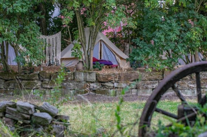 Into the Green Glamping - Oak Luxury tent in Baden-Württemberg