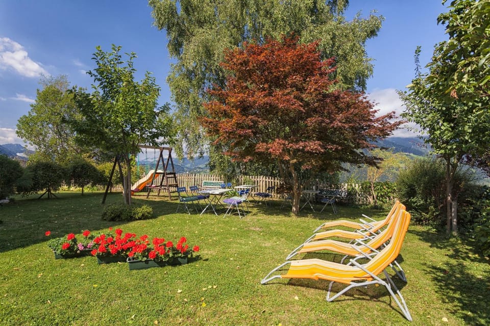 Natural landscape, Garden, sunbed