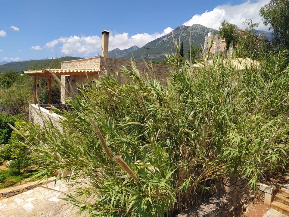 Neohori 1 Apartment in Messenia