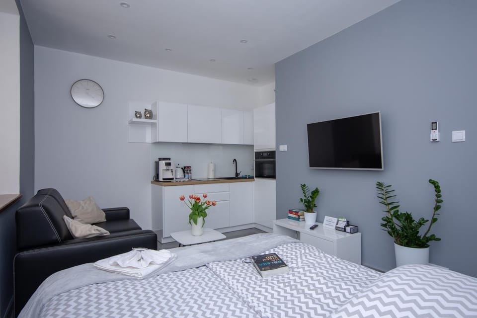 Bed, TV and multimedia, Coffee/tea facilities, Kitchen or kitchenette, Living room, Photo of the whole room, Seating area, Dining area, Bedroom