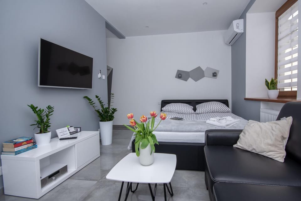 Bed, TV and multimedia, Living room, Photo of the whole room, Seating area, Bedroom, towels, air conditioner