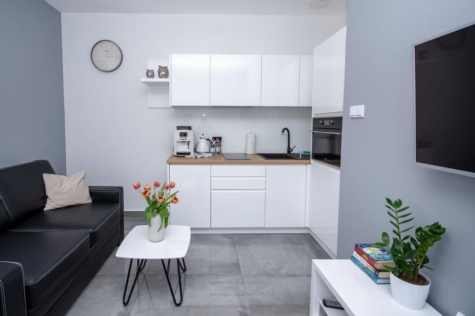 Coffee/tea facilities, Kitchen or kitchenette, Living room, Seating area, Dining area, pet friendly, stove