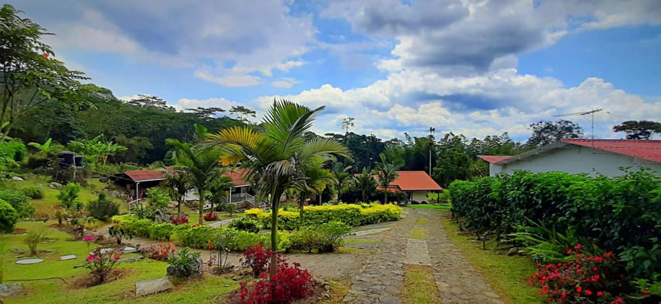 Landmark view