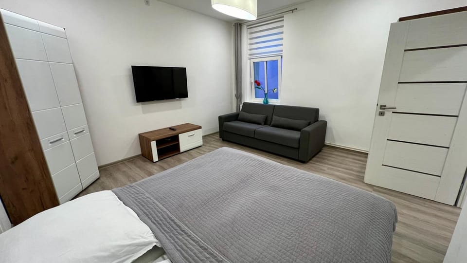 Bed, TV and multimedia, Living room, Photo of the whole room, Seating area, Bedroom