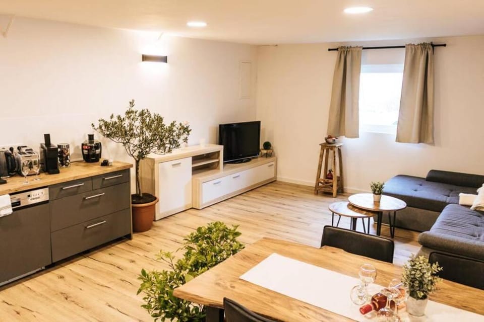 The Cozy Studio Apartment Lauf Apartment in Nuremberg