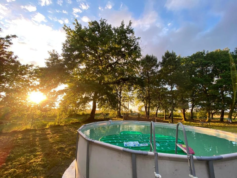 Natural landscape, Garden, Swimming pool