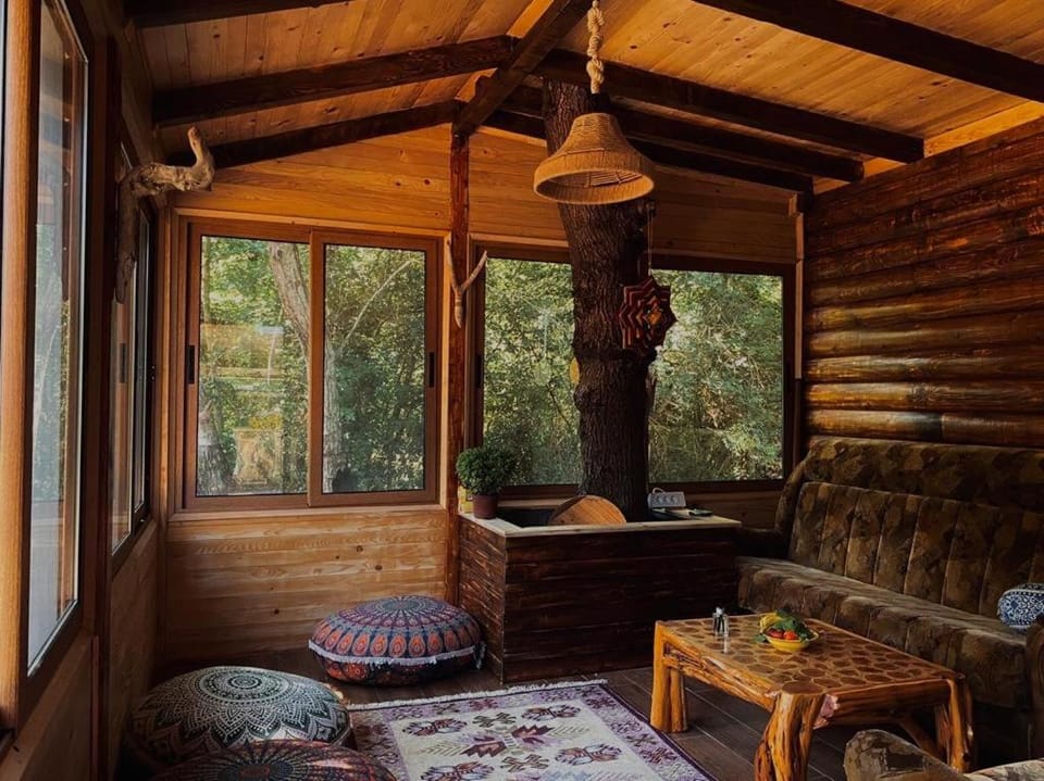 Living room, Seating area, Bedroom