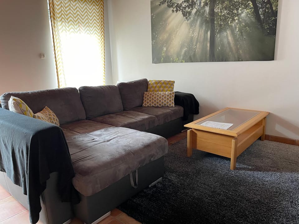 PYRENE HOLIDAYS - Appartement spacieux - chambres climatisées - cour privée Apartment in Occitanie