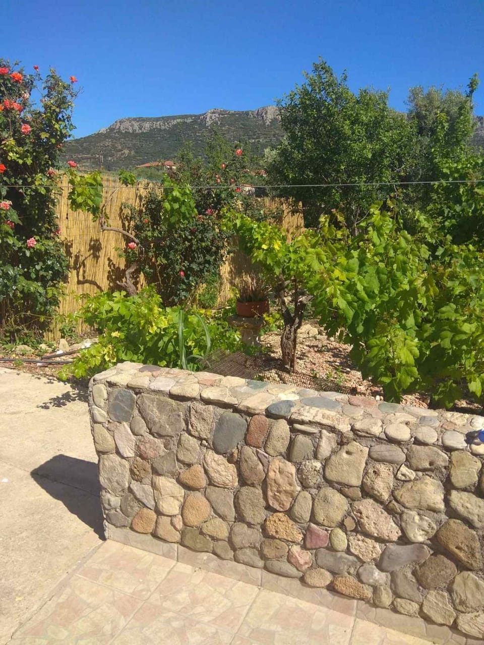 Philoxenia Holiday Home Country House in Peloponnese Region