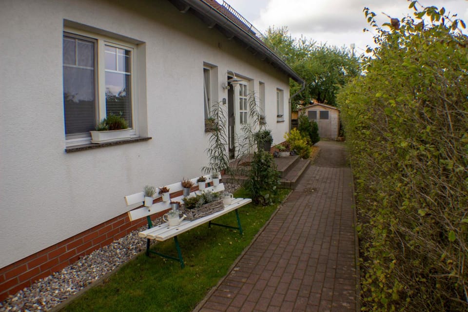 Patio, Garden