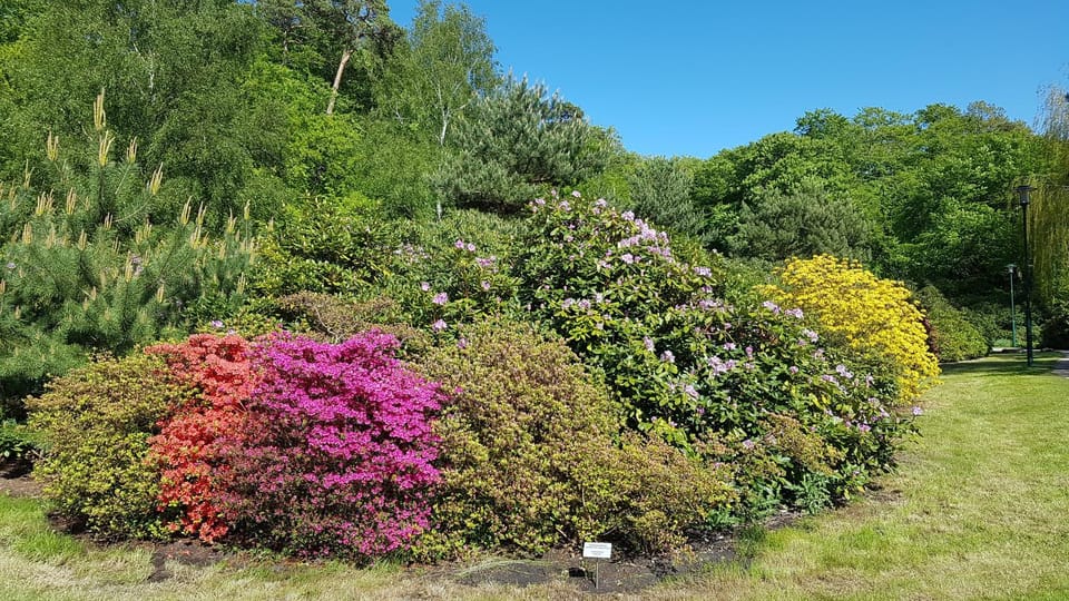 Natural landscape
