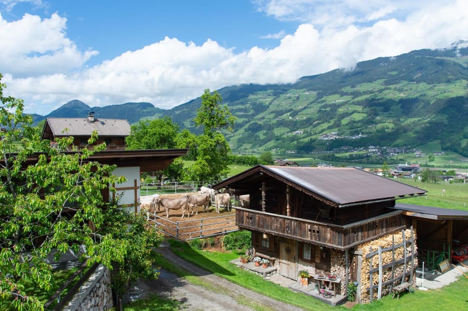 Riemenerhof Farm Stay in Tyrol