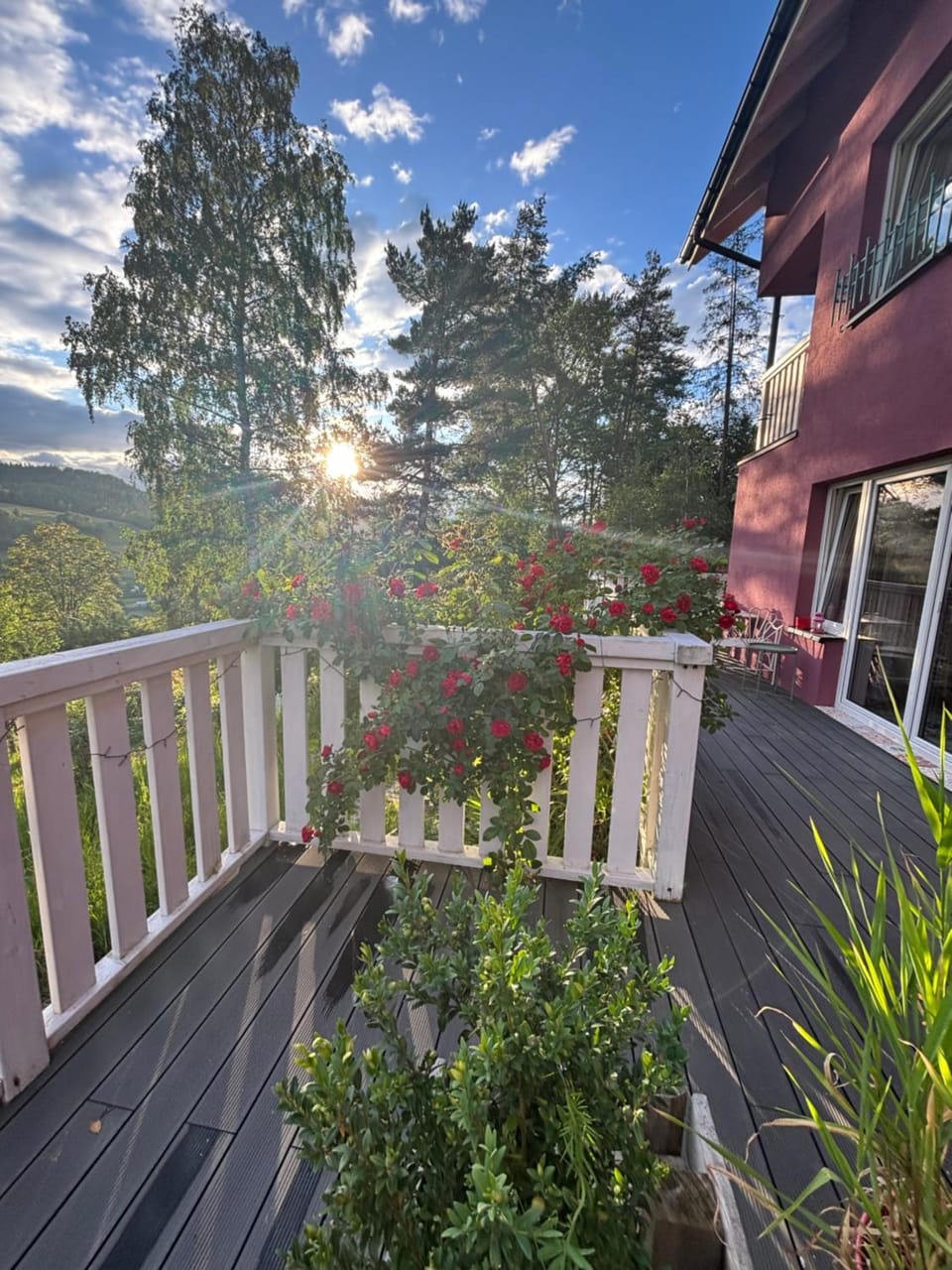View (from property/room)