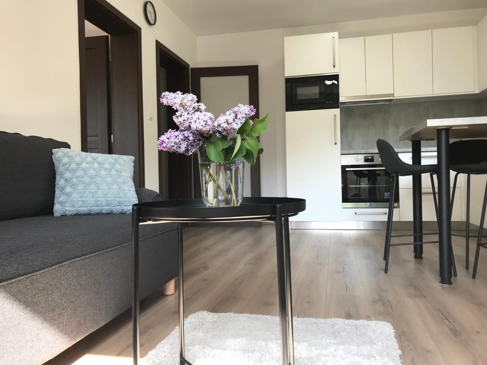 Kitchen or kitchenette, Living room