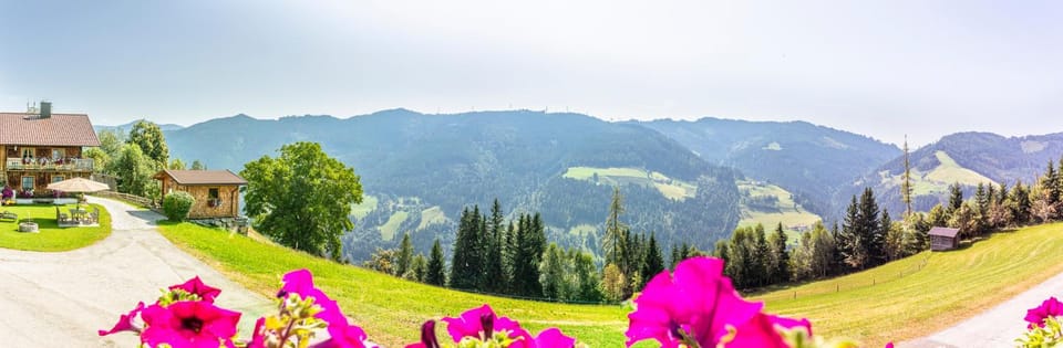 Garden, Garden view, Mountain view