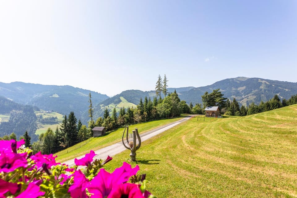 Natural landscape