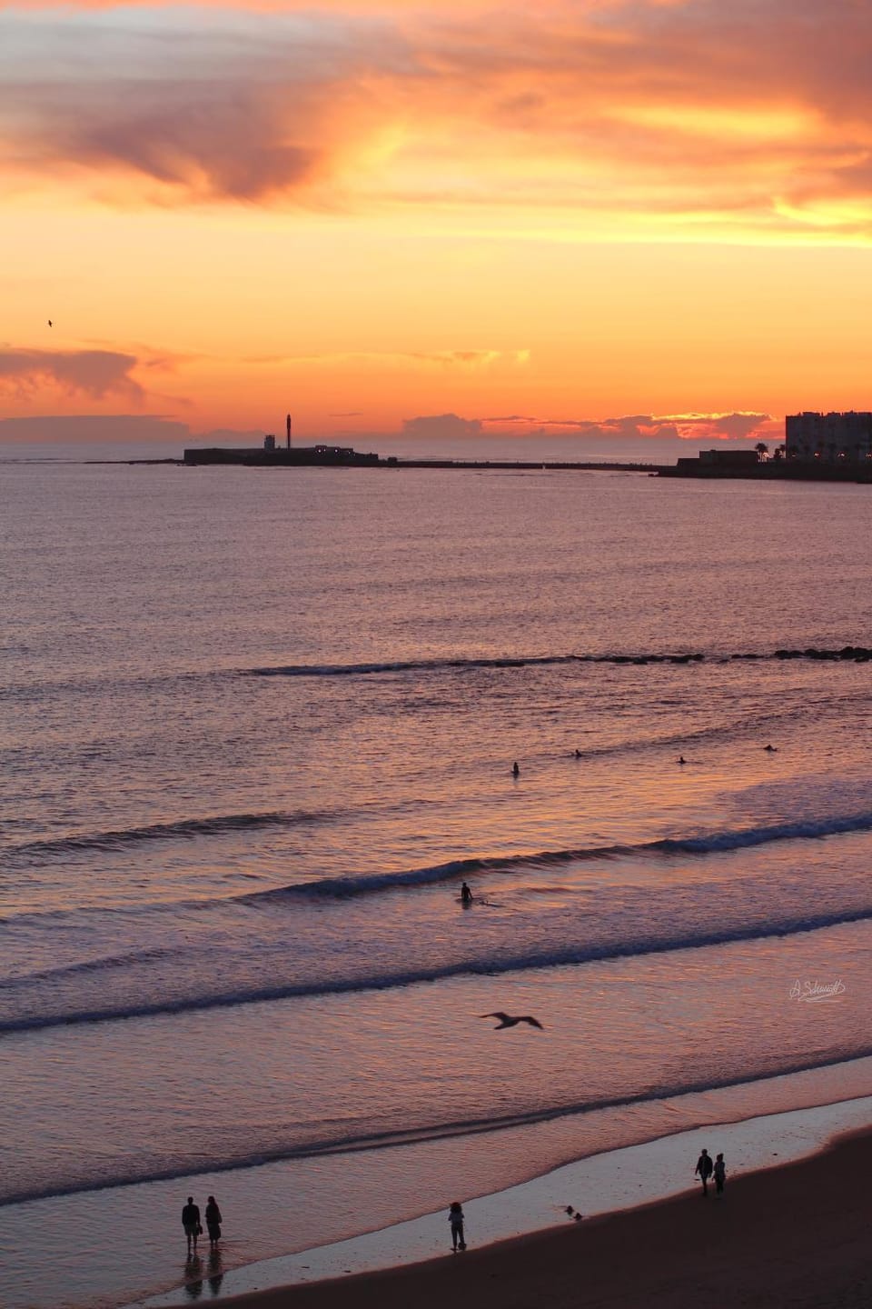 Apartamento VENTANAL AL MAR (Free Parking) Apartment in Cadiz