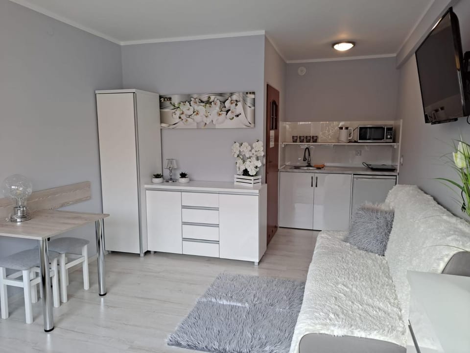 Pokoje Gościnne Biura Turystycznego KRIS Apartment in Lower Silesian Voivodeship