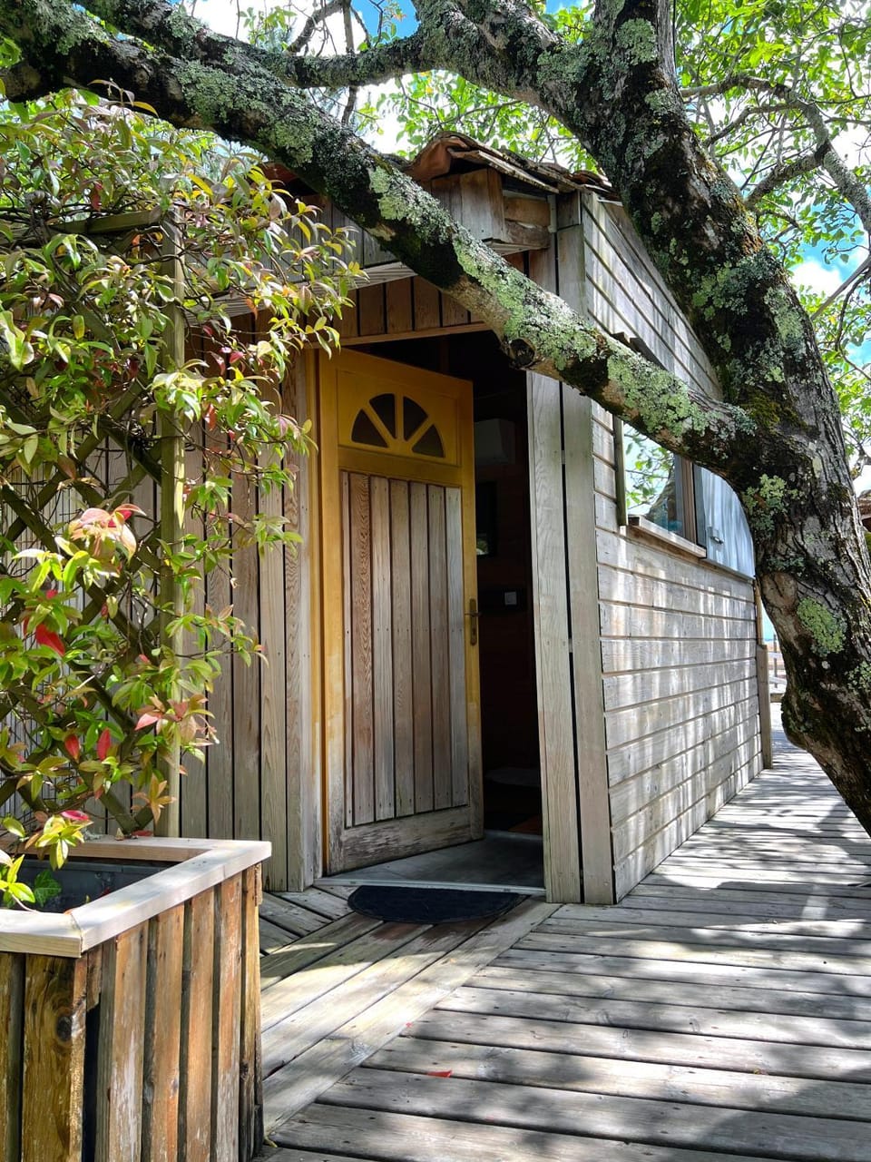 Cabane en bois climatisée Apartment in Fronsac