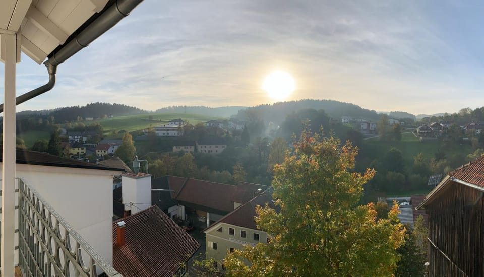 View (from property/room), Garden view