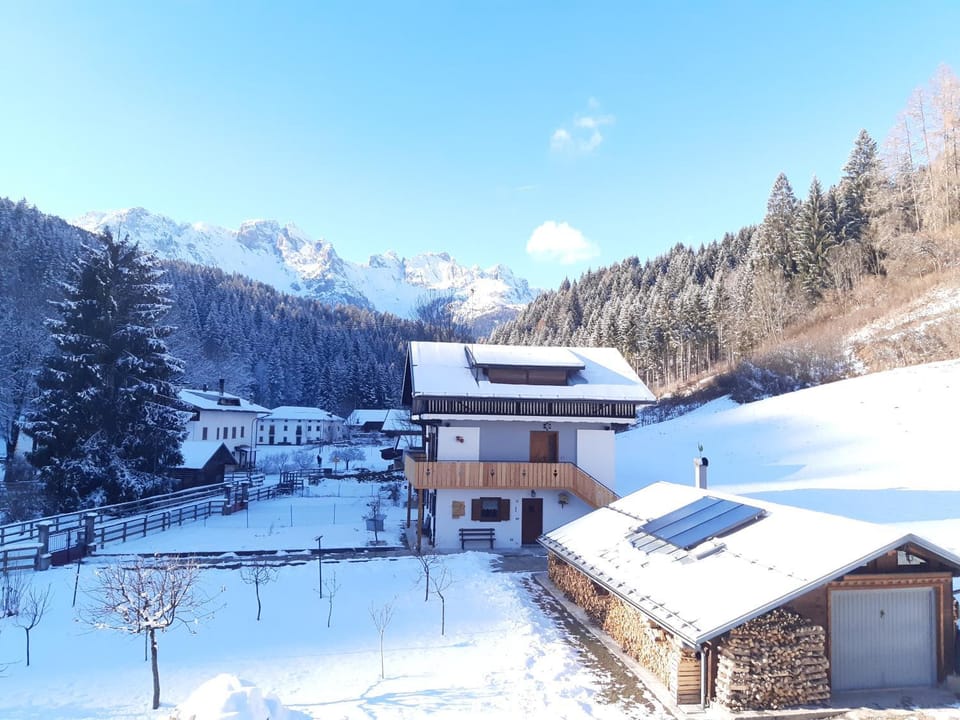 Property building, Winter, Garden