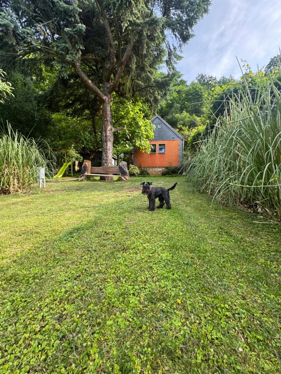 Ferienhaus Franz - an der Elbe, mit großem Garten House in Pirna