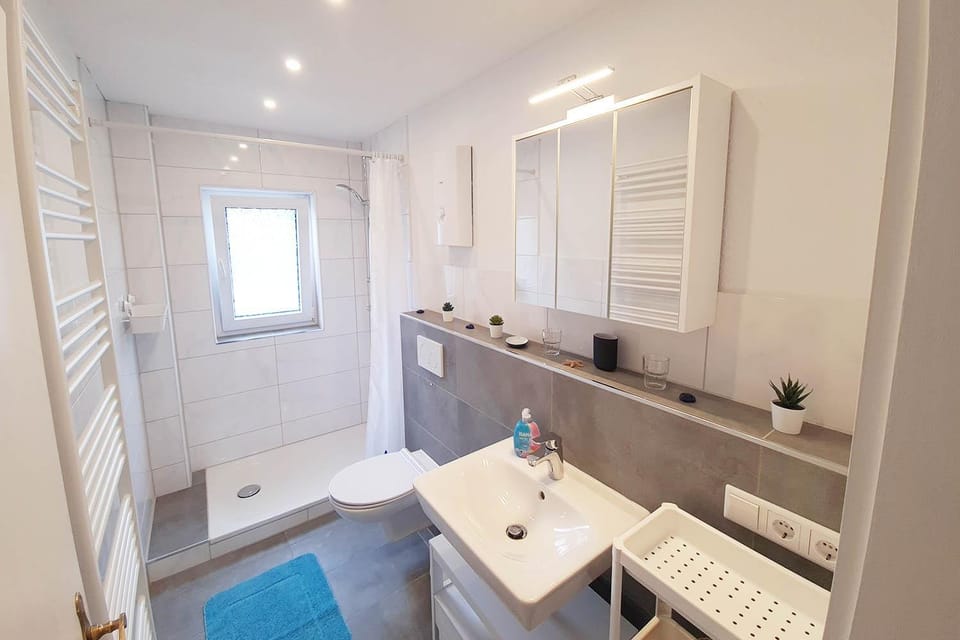Shower, Toilet, Bathroom, towels