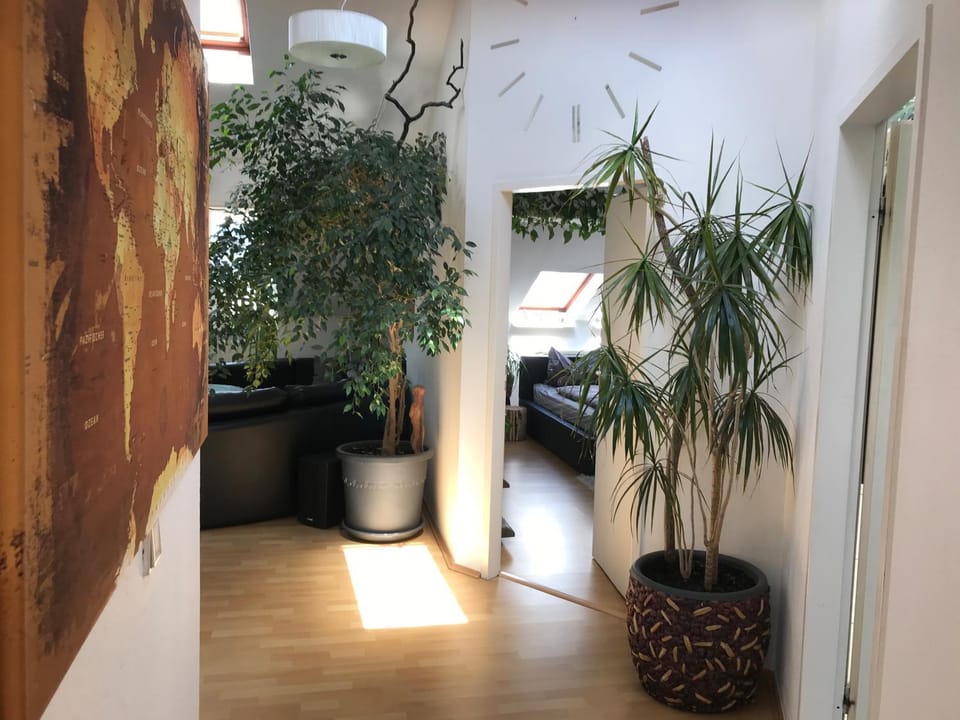 Living room, Photo of the whole room