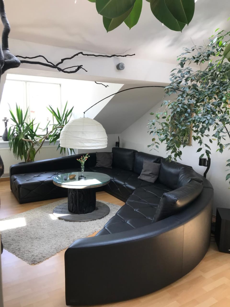 Communal lounge/ TV room, Living room, Seating area