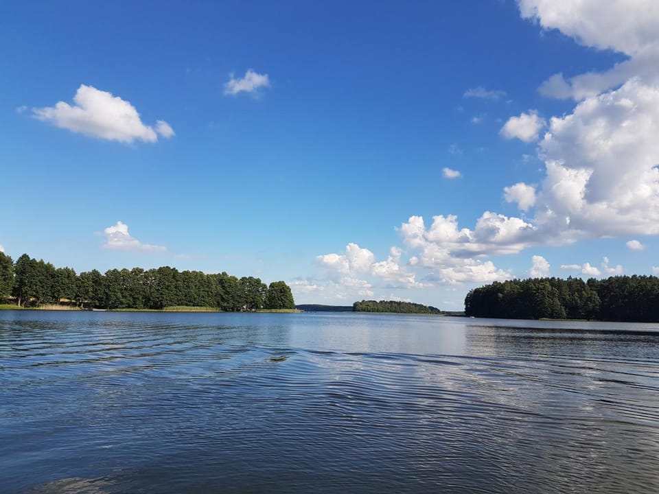 Lake view