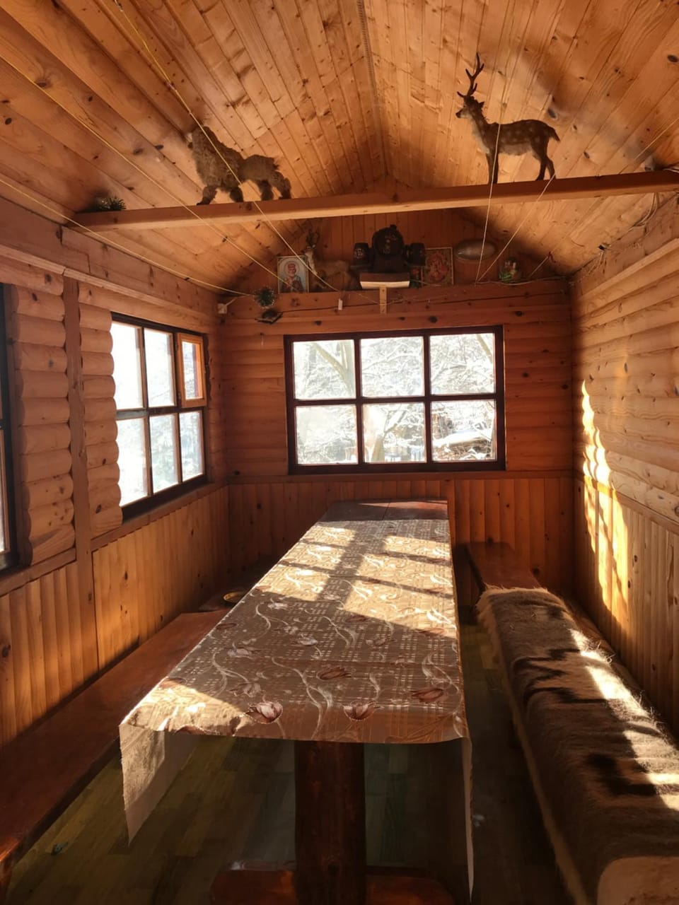 Під лісом у гіда Nature lodge in Ukraine
