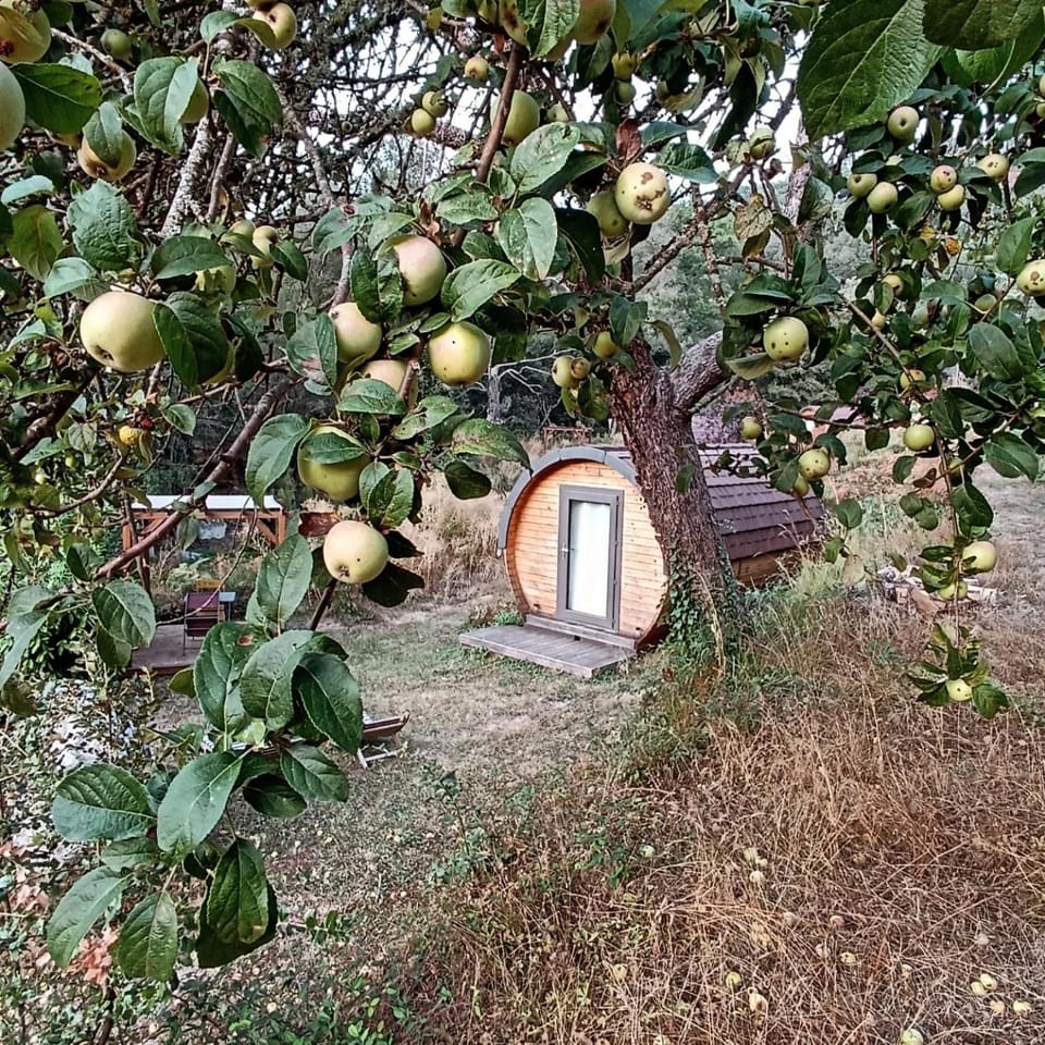 Garden, View (from property/room), Autumn