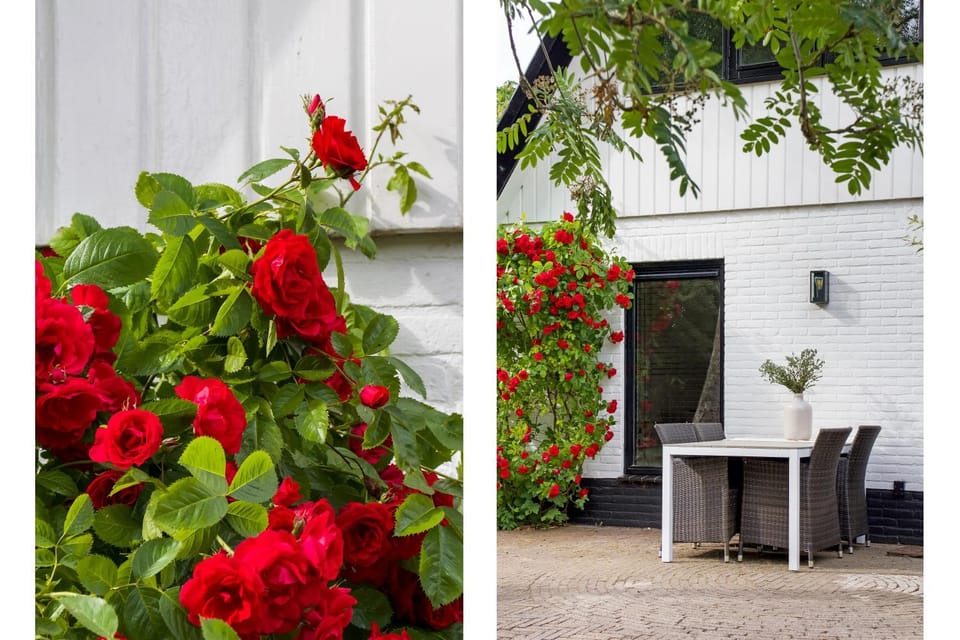 The Slow Apartment in North Holland (province)