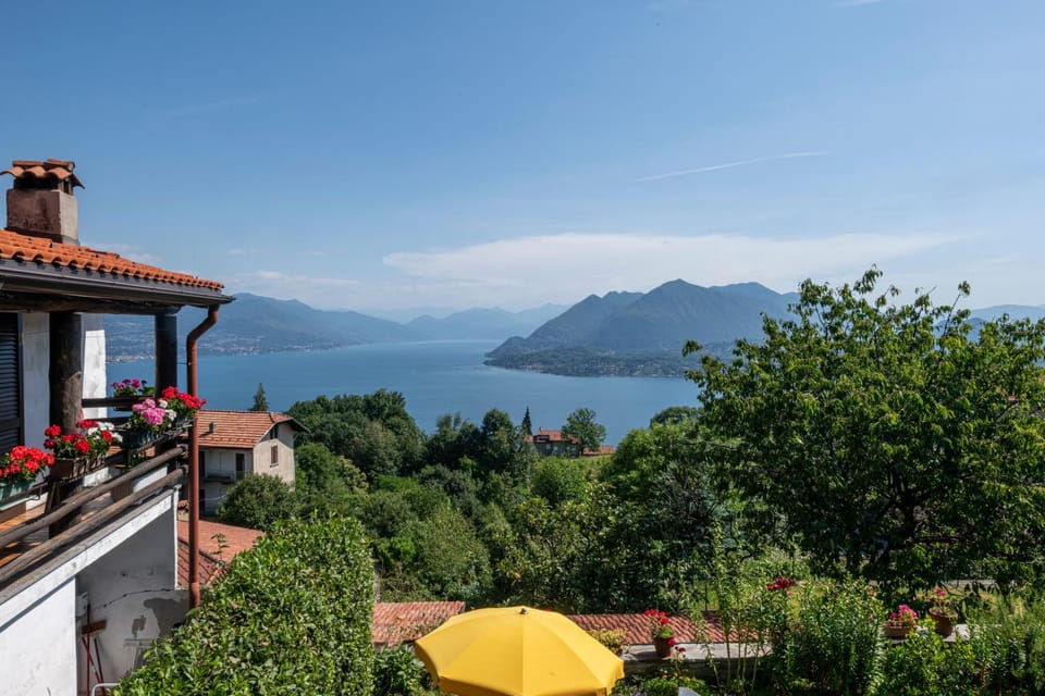 Lake view