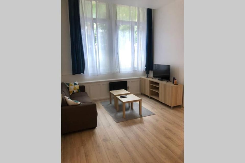 joli 2 pieces en centre ville , gare à 50 mètres Apartment in Grenoble