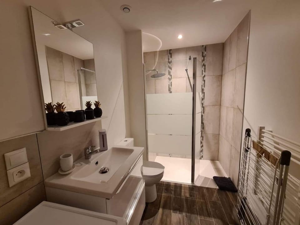 Sélénite Apartment in Nouvelle-Aquitaine