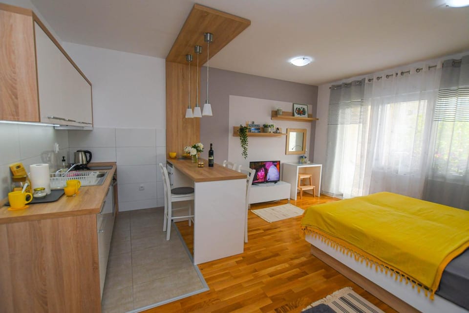 Apartment Plaža Apartment in Serbia