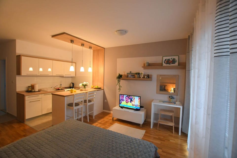 Apartment Plaža Apartment in Serbia