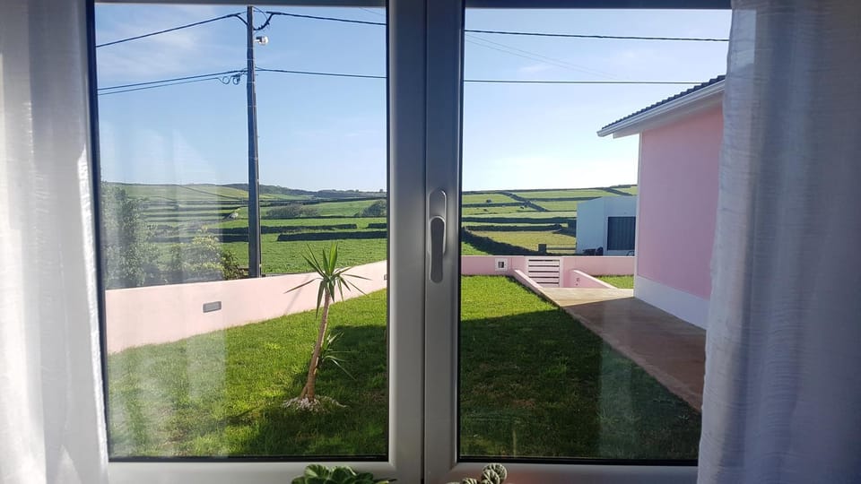 Garden, Kitchen or kitchenette, Garden view