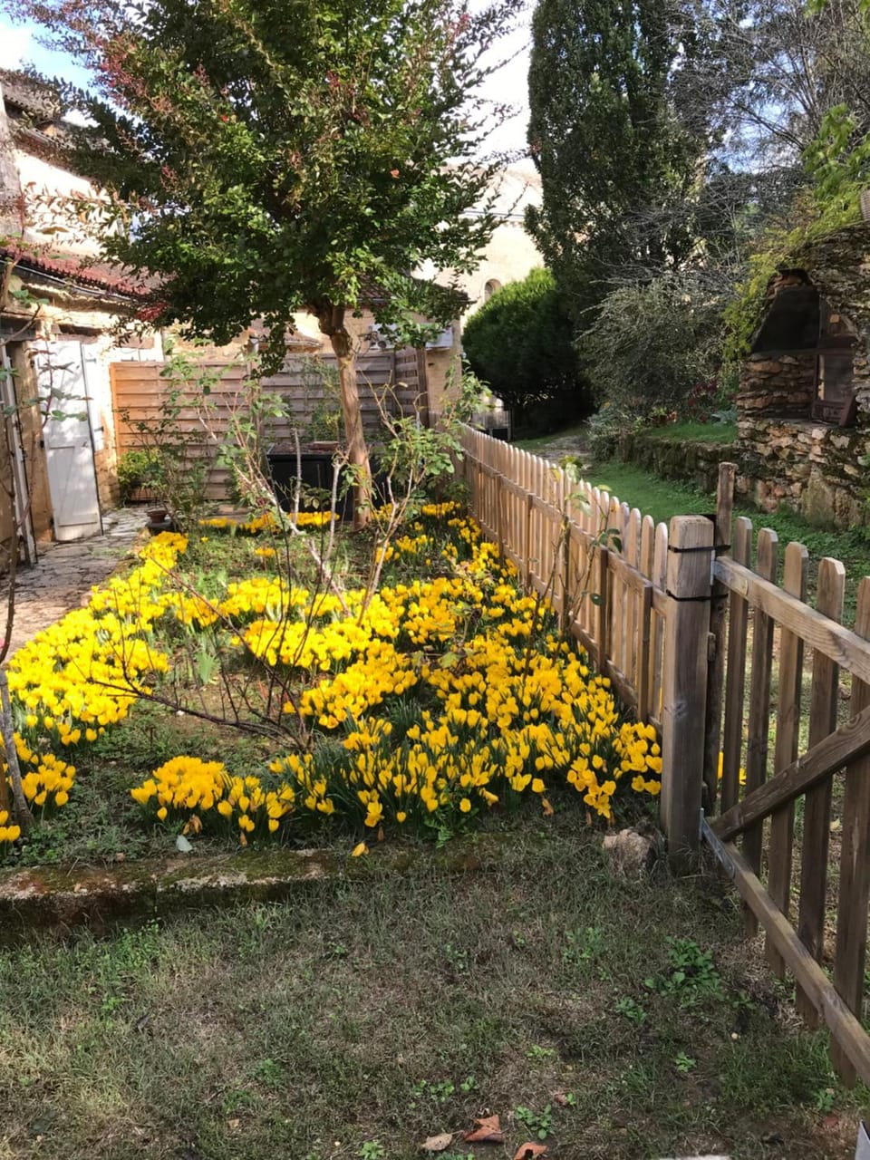 Garden, Balcony/Terrace