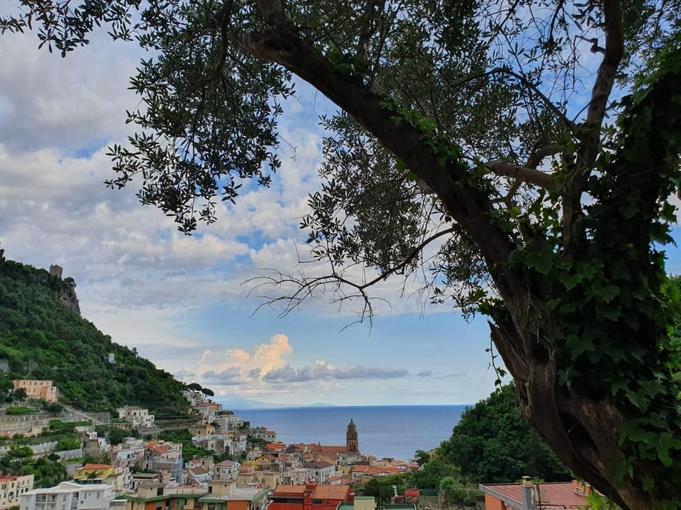 Neighbourhood, Natural landscape, Hiking, Sea view